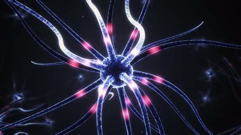 Electrical Impulses Sent Stock Motion Graphics Motion Array