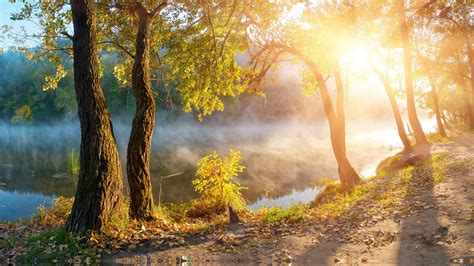 Download 2560x1440 River Sunlight Autumn Trees Sunbeam Fog
