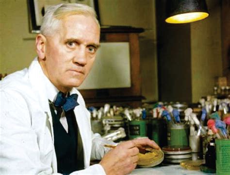 Irm O Alexandre Fleming O Ma Om Que Revolucionou A Medicina A Descoberta Da Penicilina