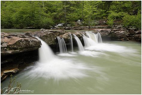 Kings River Falls Natural Area Ar A Thousand Acres Of Silphiums