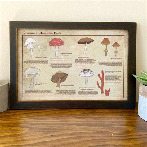 Poisonous Mushroom Etsy