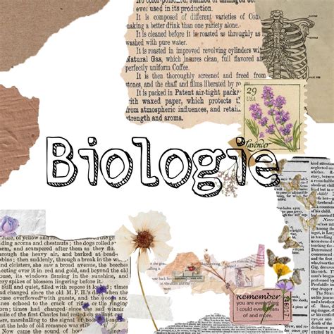 Biologie Deckblatt Aesthetic Artofit