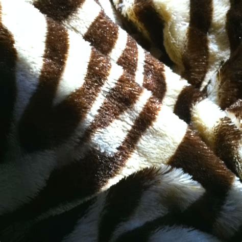 Brown Zebra Striped Throw Blanket Striped Throw Blanket Zebra