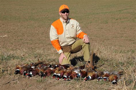 Kansas Pheasant Hunt