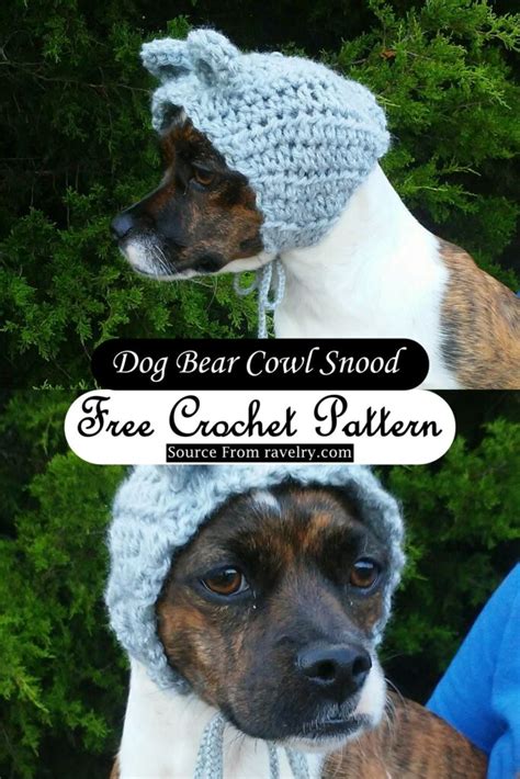 15 Crochet Dog Hat Patterns For Beginners Diys