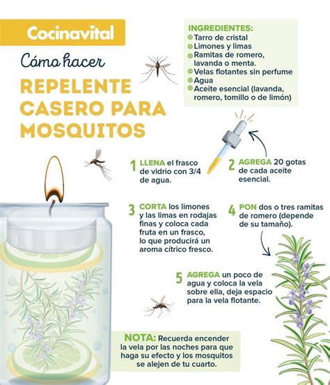 Cómo Hacer Un Repelente Casero Para Mosquitos ¡100 Natural