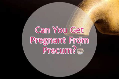 Updated Can You Get Pregnant From Precum