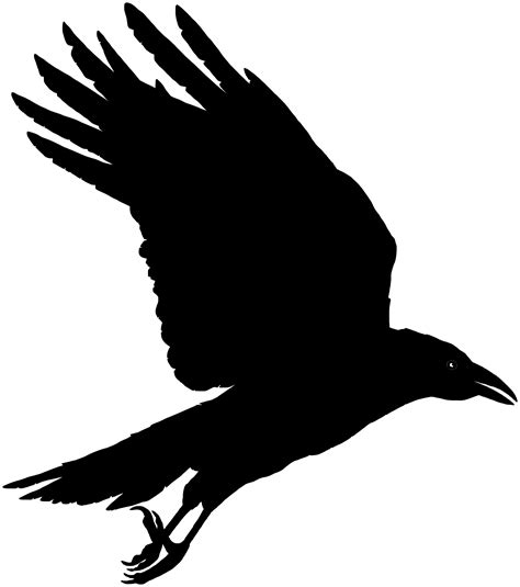 Raven Silhouette Clipart 10 Free Cliparts Download Images On