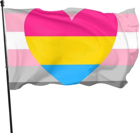 Wallxxj Bandera De La Casa Demigirl Pansexual Demi Girl Pan Pride Flag
