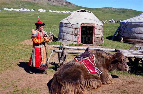 Mongolian Rural People Gallery