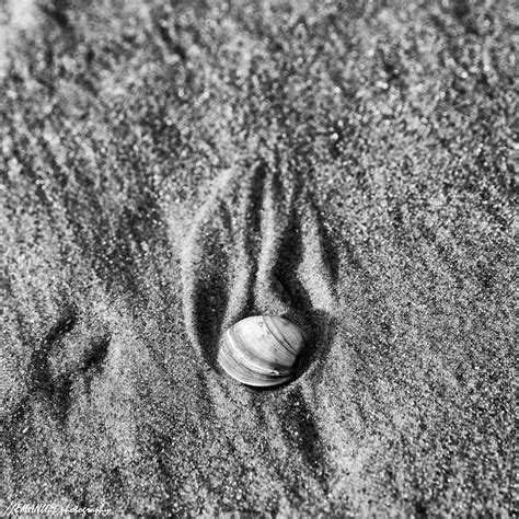 Nude On The Beach Naakt Op Het Strand By Emanuel Reus 500px