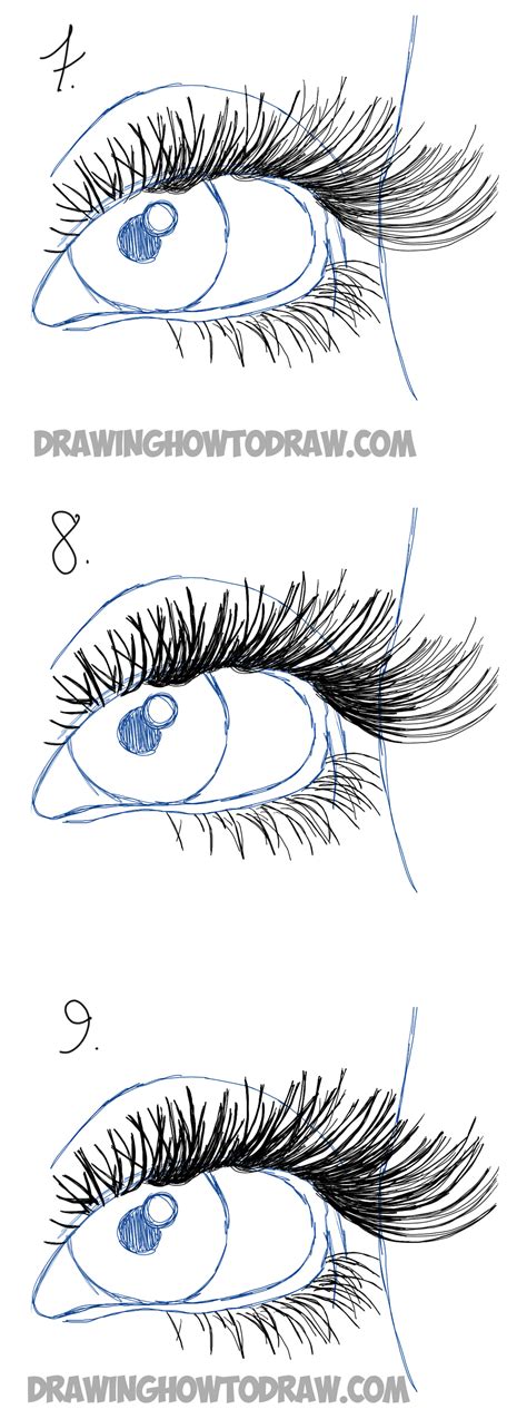 How To Draw Eye Lashes With Step By Step Illustrated Tutorial How To