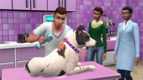 The Sims 4 Cats And Dogs Sims Camp Gameplay Overviews List Simsvip