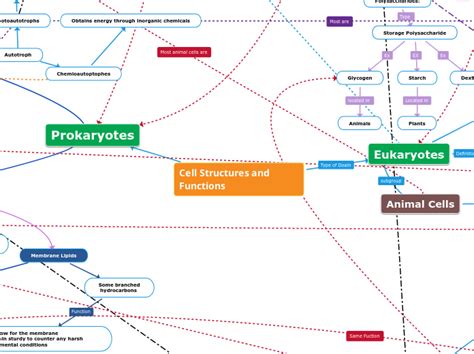 Cell Structures And Functions Mind Map