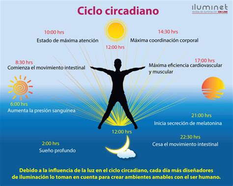 Cómo influye la luz en el reloj biológico del ser humano Iluminet