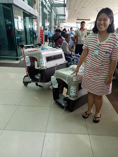 We also handle domestic and international baggage transportation. Pet Relocation Service - DNS Myanmar