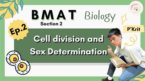 [ep 2 10] ติว bmat biology cell division and sex determination radiator youtube