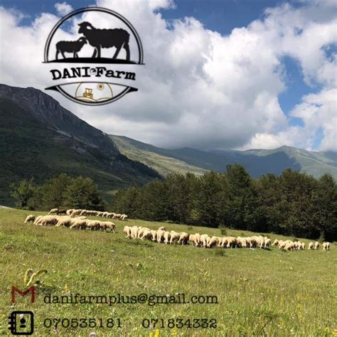 Dani Farm Posts Facebook