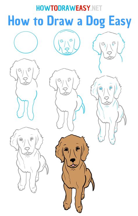 How To Draw A Dog Easy How To Draw Easy