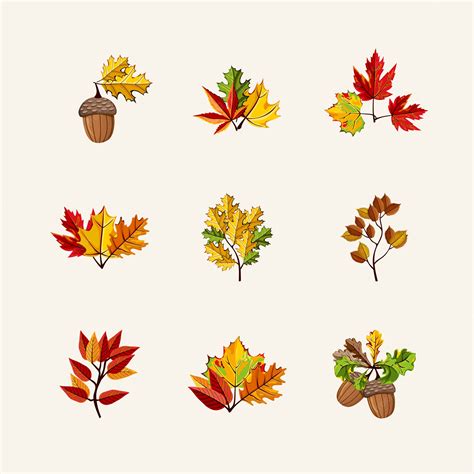 Premium Vector Autumn Leaves