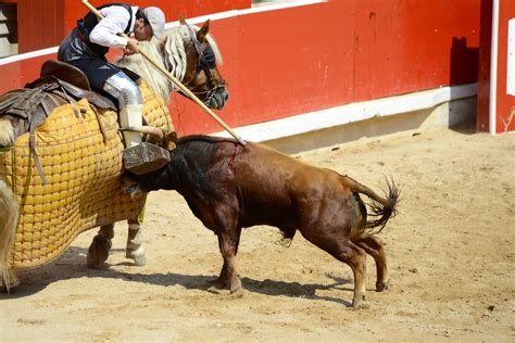 Picadores Bullfight 2 Pamplona Pictures Spain In Global Geography