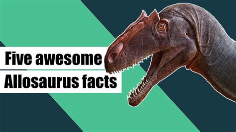 5 Awesome Facts About Allosaurus Allosaurus Dinosaur Facts Youtube