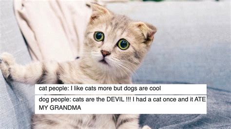 15 Tweets That Illustrate The Differences Between Cat People And Dog P