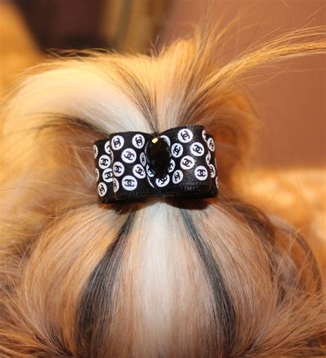 Dog Hair Bow Shih Tzu Hair Bow Yorkie Maltese Dog Show Bow Small Dog