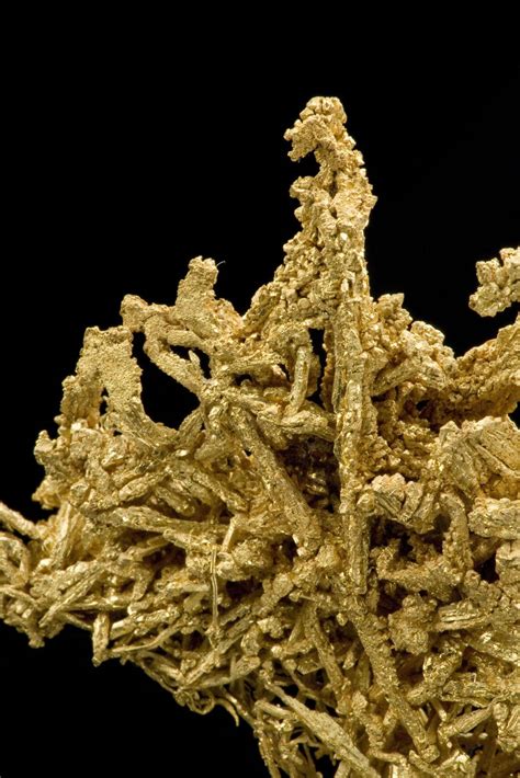 Gold Tuc115 199 Breckenridge District Usa Mineral Specimen