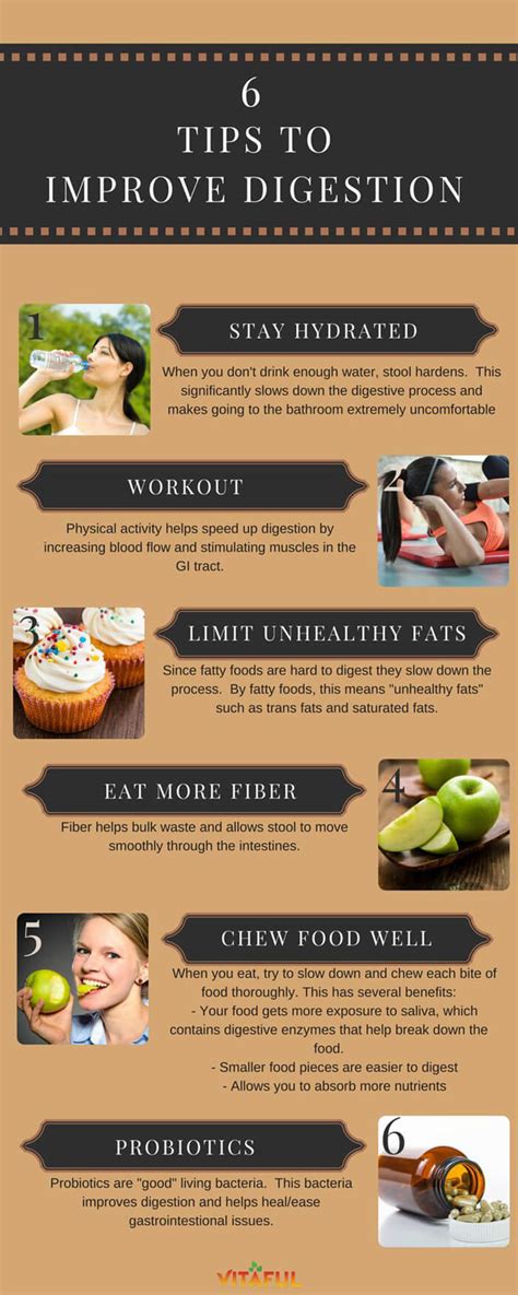 6 Tips To Improve Digestion Infographic