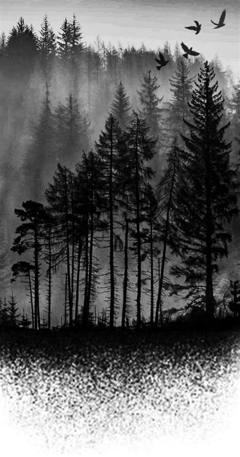 Sketch Tatoo Dark Forest Artofit