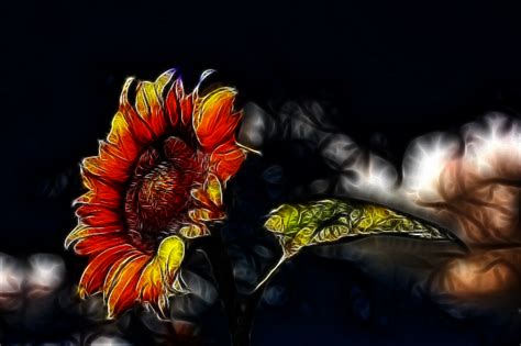 Sunflower Shaded 2 By M3 K3 On Deviantart