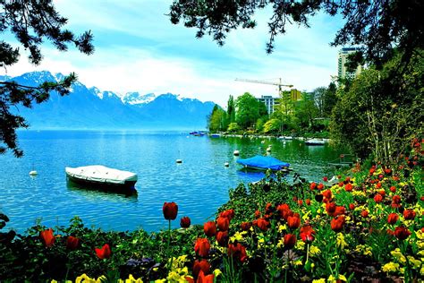 Lakeside Blossoms Montreux Lake Switzerland Hd Wallpaper Pxfuel