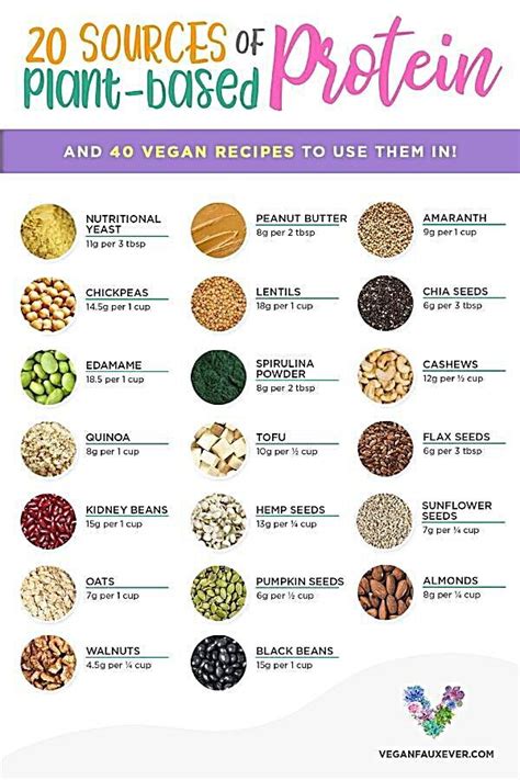 25 Best Vegan Protein Sources For Plant Based Diets Guide To Vegan