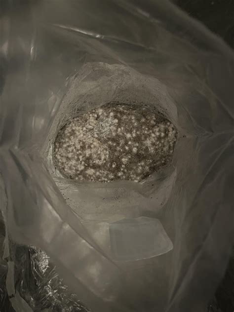 does my shroom bag look contaminated if not what s wrong it s been in fruiting conditions for