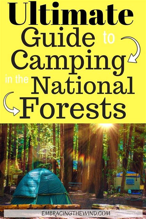 Everything You Need To Know About Camping In The National Forests