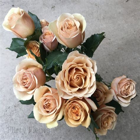 Alexandra Garden Roses Flirty Fleurs The Florist Blog Inspiration
