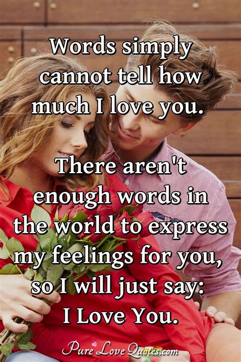 Words Simply Cannot Tell How Much I Love You There Arent Enough Words In The Purelovequotes