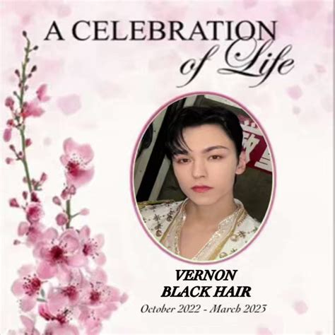 ً On Twitter Rt Noniespancake Sad Day For Black Haired Vernon Lovers