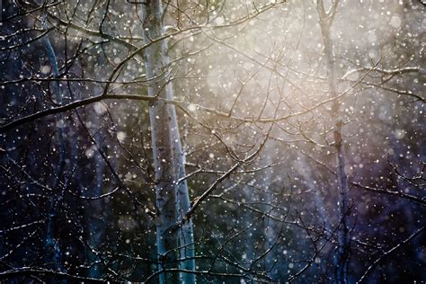 Snow Blizzard Wallpapers Top Free Snow Blizzard Backgrounds
