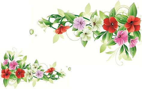 Hd Wallpaper Flower Frame Vector Nature Nature And Landscapes