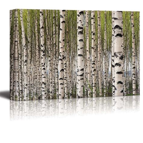 Wall26 Canvas Prints Wall Art Grove Of Birch Trees With Green Leaves