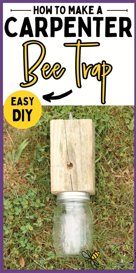 The Best How To Make Carpenter Bee Traps Ideas Newspaper Topics