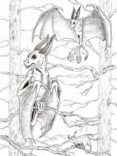 Devil Jersey Coloring Cryptozoology Drawing Illustrator Sparad