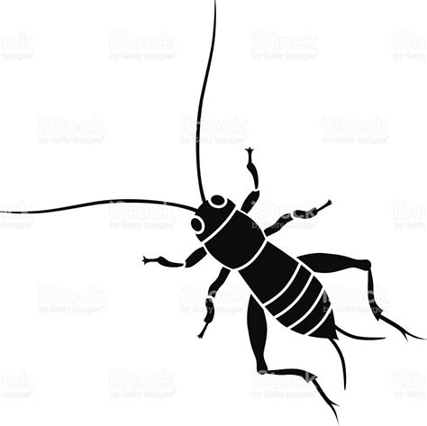Cricket Insect In Black And White Royalty Free Stock Vector Art Black