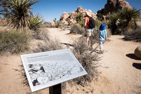 11 Best Day Hikes In Joshua Tree National Park Outdoor Project