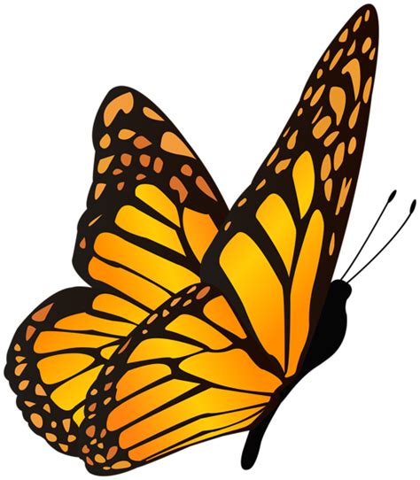 Butterfly Orange Yellow Clipart Image Butterfly Clip Art Orange