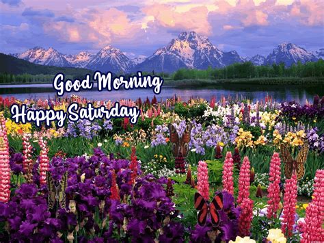 Good Morning Saturday S 50 Animated Greeting Cards