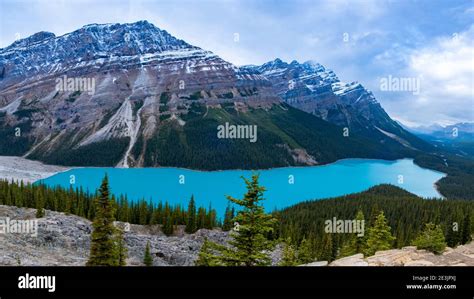 Turquoise Lake Peyto Im Banff National Park Kanada Mountain Lake Als