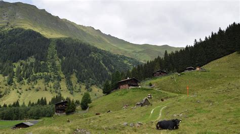 Ausgangspunkt beim parkplatz nockalm zeischalm Wanderung zur Zeischalm von Innervals, Valsertal